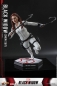 Preview: |HOT TOYS - Black Widow - Snow Suit Version