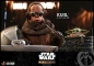 Preview: |HOT TOYS - The Mandalorian -  Kuiil