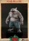 Preview: |HOT TOYS - Suicide Squad - King Shark
