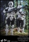 Preview: | HOT TOYS | SIDESHOW | TBLEAGUE