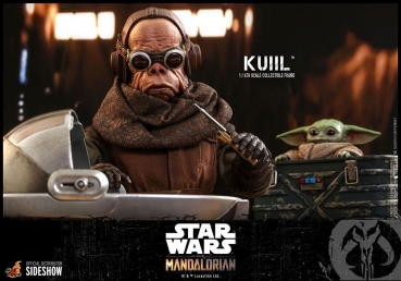 |HOT TOYS - The Mandalorian -  Kuiil