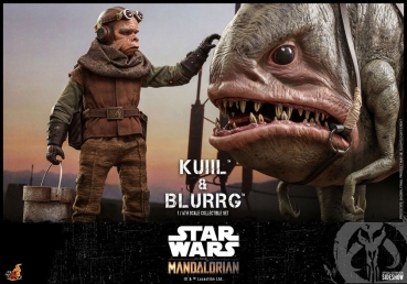 |HOT TOYS -  The Mandalorian - Kuiil & Blurrg