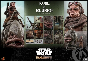 |HOT TOYS -  The Mandalorian - Kuiil & Blurrg